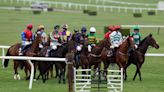 Saturday horse racing tips: Kitty’s Light can defend his Gold Cup crown at Sandown Park