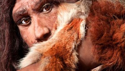 Scientists Discover First Case of Down Syndrome in Neanderthals