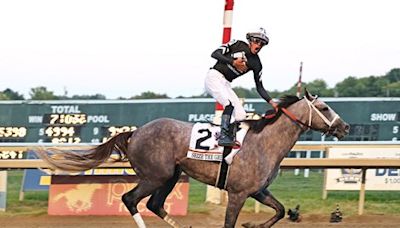 Seize the Grey Wins Pennsylvania Derby