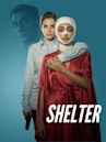 Shelter