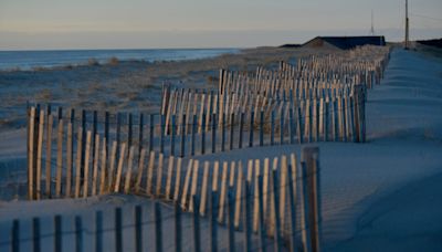 Beach cleanups, film screenings and museum celebrations: Earth Day fun on Cape Cod