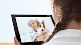 Walmart Adds Pawp’s Telehealth Service for Pets to Membership Program