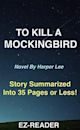 Summary - To Kill a Mockingbird