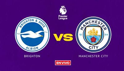 Brighton and Hove vs Manchester City EN VIVO Premier League Jornada 29