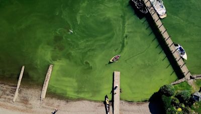 Tourist influx turns Windermere green, researchers say