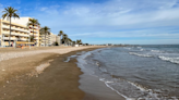 Encuentran el cadáver de un toro sin cabeza en una playa de Torreblanca, Castellón