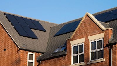 Solar panel subsidies tripled UK installations. What help is available for homeowners?