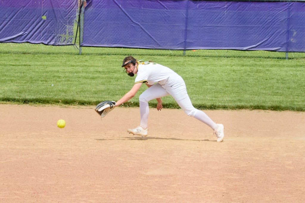 Scouting area 2024 softball district tournaments