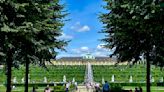 Germany’s Sanssouci Park seeks solutions as trees struggle with climate change