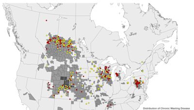 Battle with Texas rancher ends, 249 'zombie deer' killed amid state's largest CWD outbreak