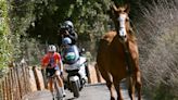 Okay, Let’s Talk About the Horse in the Women's Race at Strade Bianche