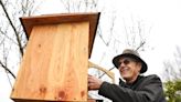 Volunteer creates an environment at Willamette Valley Vineyards for mason bees to thrive