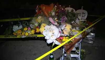 Woman who allegedly struck, killed SF family faces 4 felony vehicular manslaughter charges