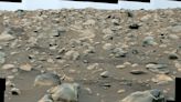 NASA Rover's Newest Rock Sample Is a Gift From an Ancient Martian River
