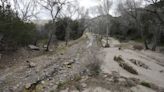 A rare Arizona creek is dying after a mine pumped groundwater. Environmentalists are pushing back