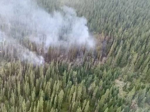 Beyond Local: Evacuation ordered for wildfire northwest of Calgary