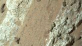 La Nación / Explorador de la NASA descubre roca en Marte que puede contener vida microscópica antigua