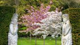 The best National Trust gardens to visit for spring flowers