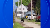 Video shows black bear strolling through Michigan beach town