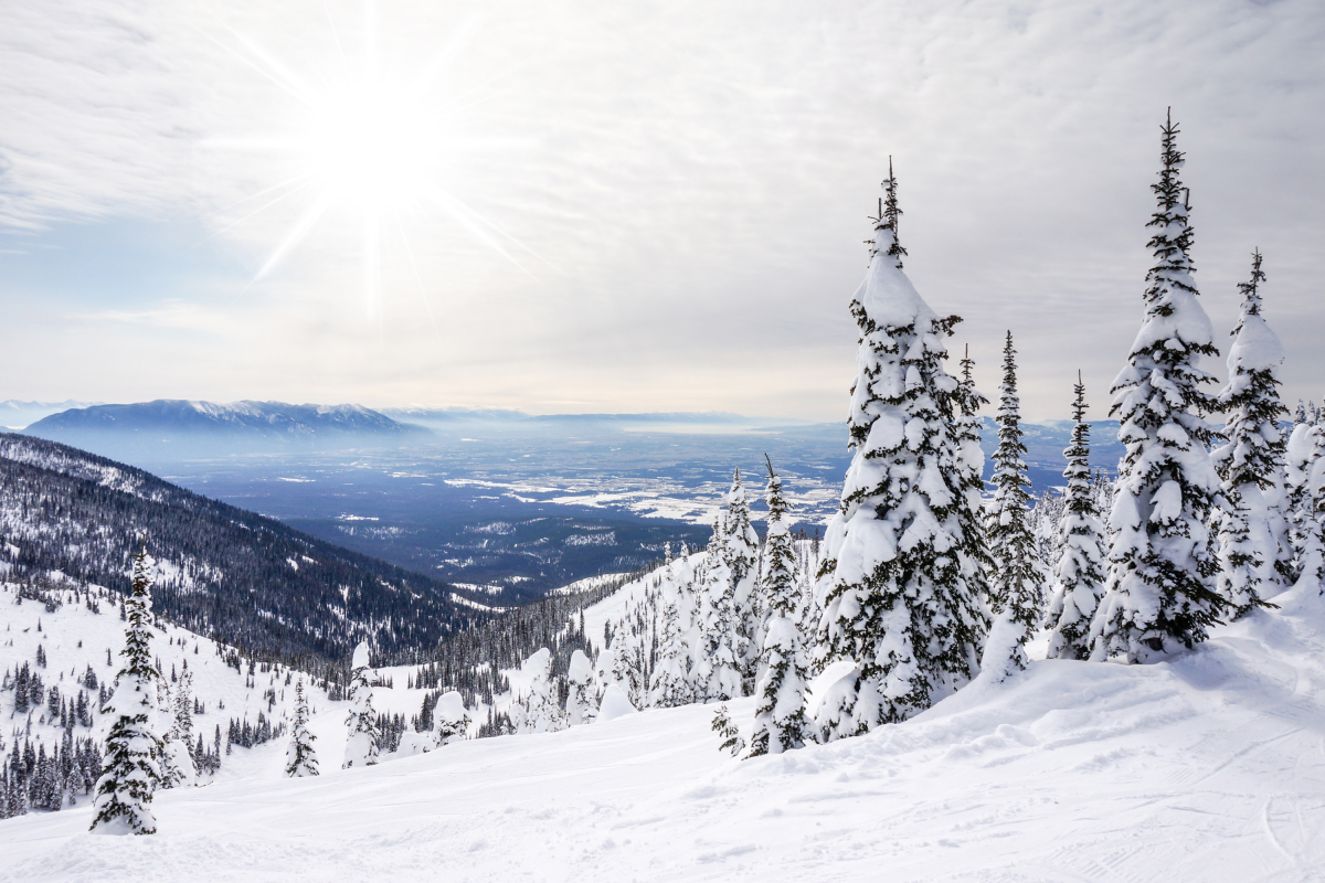 Winter storm warning for one state as 12 inches of snow expected