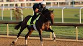 The Kentucky Derby turns 150