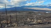 'It was a matter of time': Wildfire expert breaks down how Jasper became a tinderbox