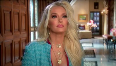 Erika Jayne Net Worth 2024: How Much Money Does RHOBH Star Make?