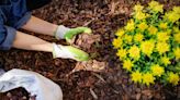 How to Keep Your Garden Well-Mulched (and Why You Should)