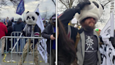 Florida man who wore panda gear during Capitol breach convicted, DOJ reports