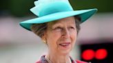 Princess Royal: What is concussion and how is it treated?