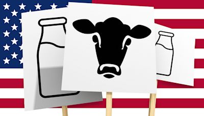 How milk became the new culture war dividing America