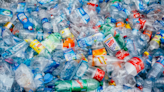 La segunda mano en España supone un ahorro potencial equivalente a la producción de 11,7 millones de botellas de plástico en solo un año