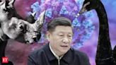 Why did Chinese President Xi Jinping ask to be ready for “black swan” and “gray rhino”? Is Beijing heading toward crisis? - The Economic Times