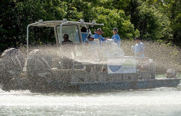 Austin to treat toxic blue-green algae blooms on Lady Bird Lake starting Monday