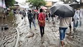 More Than 30 Displaced Animals Rescued Amid Rains In Mumbai, Nearby Areas