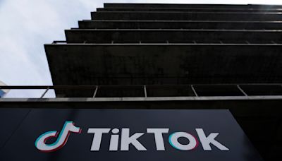 Facing Hill pressure, tech group kicks out TikTok