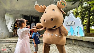 適逢臺北市立動物園110年園慶，VOLVO加入動物認養計畫，認養園內明星極圈動物國王企鵝！