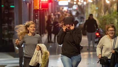 Zonda en el llano: emiten alerta para hoy en Mendoza | Sociedad