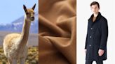 What Makes a Vicuña Coat Worth $20,000? The Ultimate Menswear Fabric, Explained.