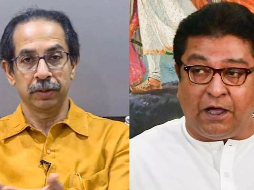 Mumbai: Raj Thackeray Backs Out Of Shivaji Park Nov 17 Election Rally, Uddhav Thackeray Declines Too