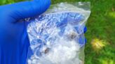 Man arrested after throwing suspected class A drugs onto railway line