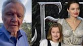 ... Actors': Jon Voight Shares His Thoughts on Daughter Angelina Jolie And Granddaughter Vivienne's Tony Award Win