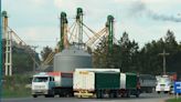 Se acelera la cosecha de maíz y el ingreso de camiones a los puertos se duplicó en la última semana