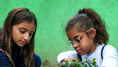 Alunos de escola do Rio plantam árvores e elaboram sugestões sobre o que querem para o futuro do planeta