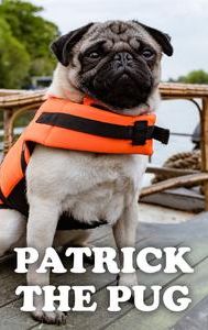 Patrick (2018 film)