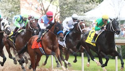 Kentucky Derby winner still a "maybe" for Preakness - UPI.com