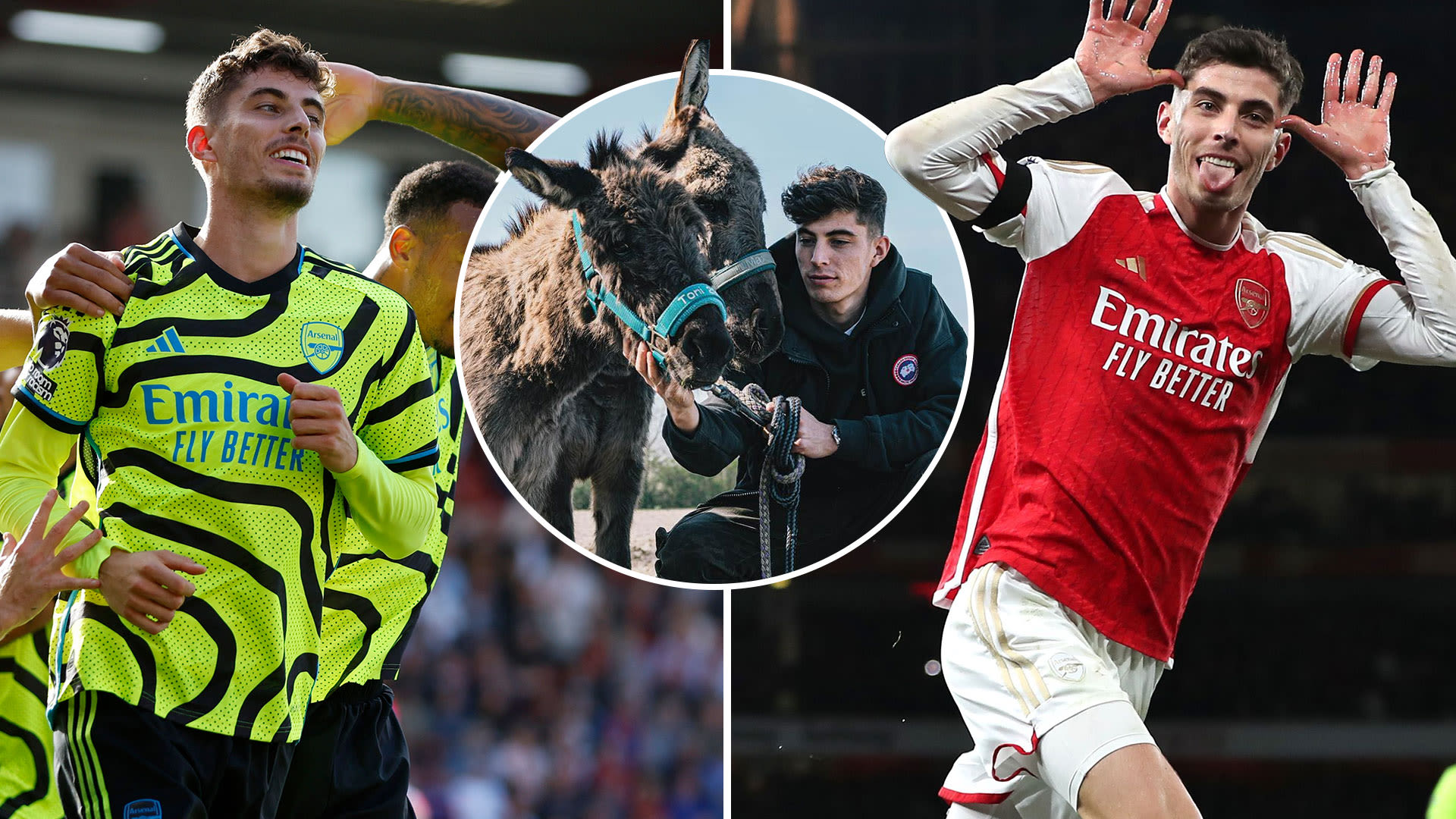 How 'donkey' Havertz went from Bournemouth sympathy pen to Arsenal's main man