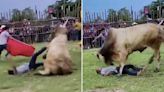 Horror moment rodeo rider is bucked off rampaging bull & knocked unconscious
