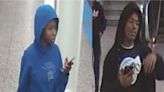 Chicago Police Seek Information on Red Line Robbery Suspects