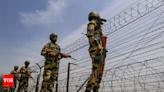 BSF nabs teenaged Pakistani intruder from Punjab border | Chandigarh News - Times of India